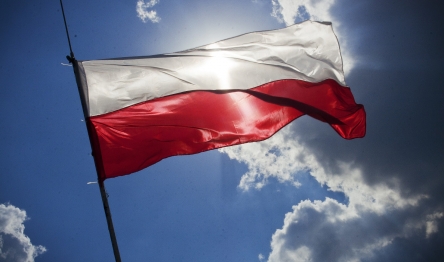 Сопровождение в получении лицензии в Польше